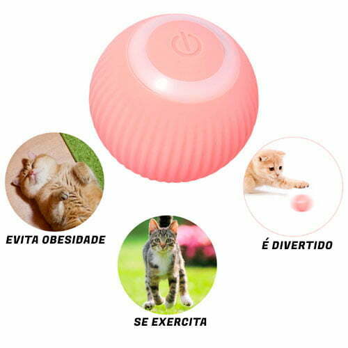 Bolinha automática para animais - Crazy pet